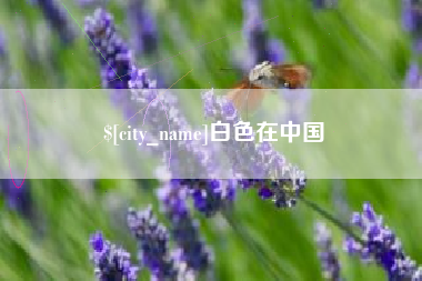 固原白色在中国