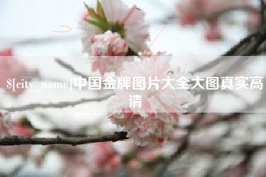 固原中国金牌图片大全大图真实高清