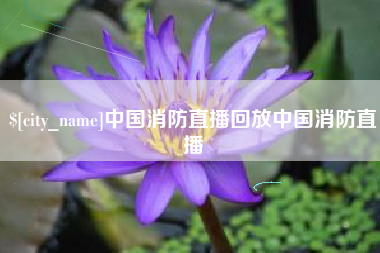 固原中国消防直播回放中国消防直播