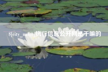 固原执行信息公开网是干嘛的