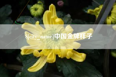 固原中国金牌样子