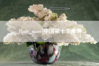 固原中国第十个金牌