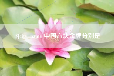 固原中国六块金牌分别是