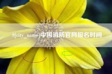 固原中国消防官网报名时间