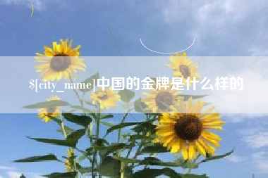 固原中国的金牌是什么样的