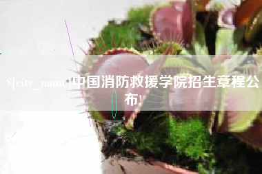 固原中国消防救援学院招生章程公布!