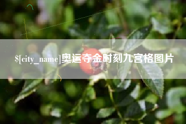 固原奥运夺金时刻九宫格图片