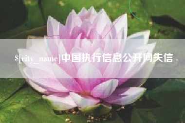 固原中国执行信息公开网失信