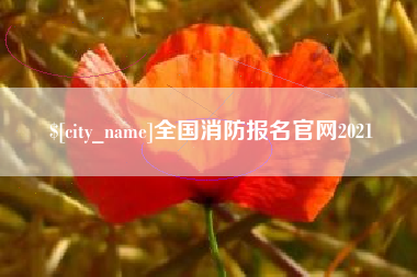 固原全国消防报名官网2021