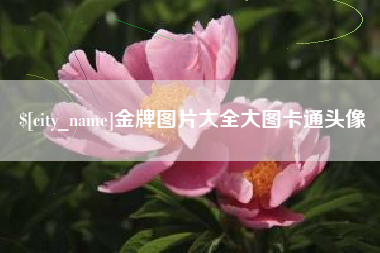 固原金牌图片大全大图卡通头像