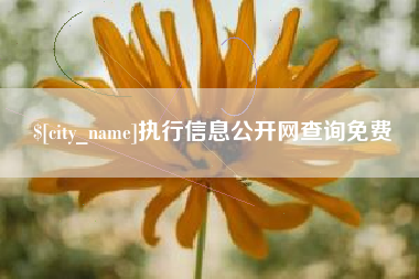固原执行信息公开网查询免费