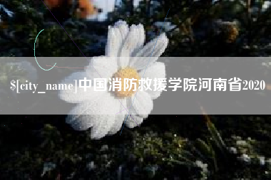 固原中国消防救援学院河南省2020